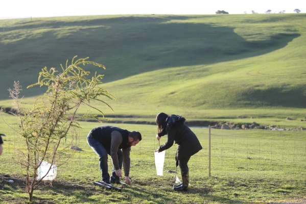 gallery/2016 Leaders Forum tree planting at Narmbool/lizcrothers_7642-tn.jpg